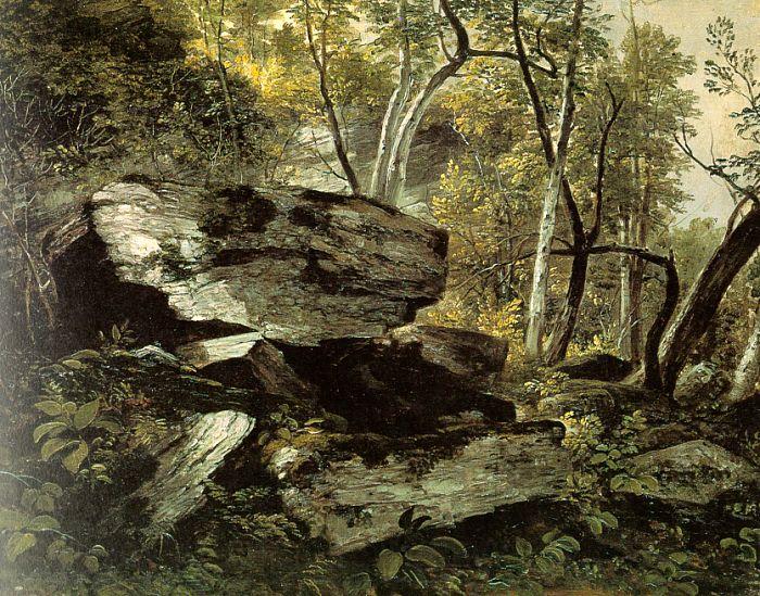 Asher Brown Durand Study from Rocks and Trees